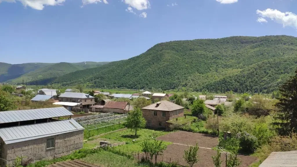 Гостевой дом, село Меградзор