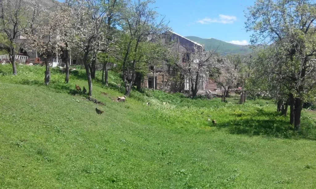 Гостевой дом, село Меградзор