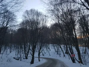 Is Dilijan Worth Visiting in Winter?
